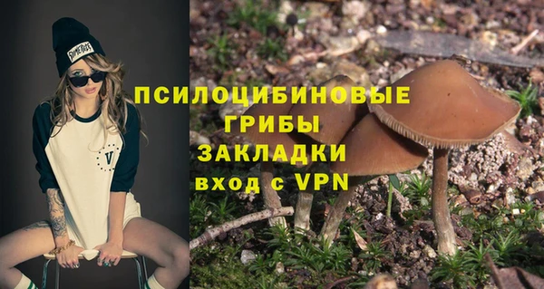 ALPHA PVP Беломорск
