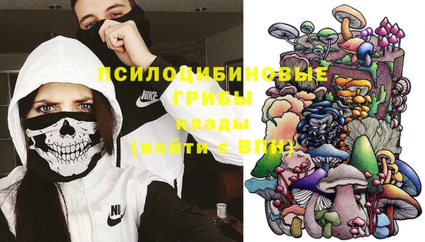 амф Балахна